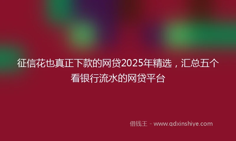 征信花也真正下款的网贷2025年精选，汇总五个看银行流水的网贷平台