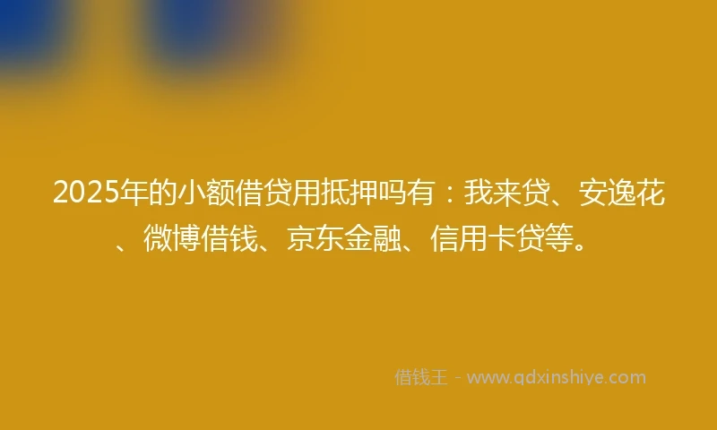 2025年的小额借贷用抵押吗有：我来贷、安逸花、微博借钱、京东金融、信用卡贷等。