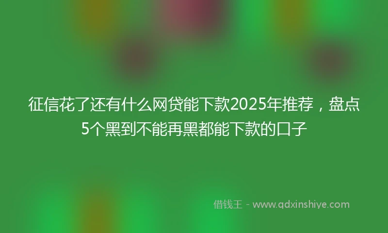 征信花了还有什么网贷能下款2025年推荐，盘点5个黑到不能再黑都能下款的口子