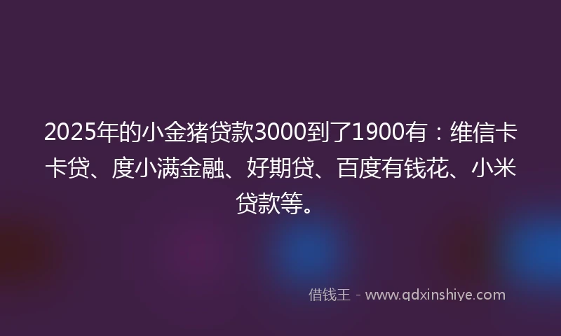 2025年的小金猪贷款3000到了1900有：维信卡卡贷、度小满金融、好期贷、百度有钱花、小米贷款等。