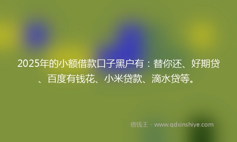 2025年的小额借款口子黑户有：替你还、好期贷、百度有钱花、小米贷款、滴水贷等。