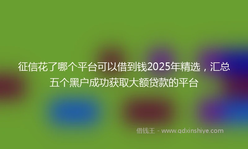 征信花了哪个平台可以借到钱2025年精选，汇总五个黑户成功获取大额贷款的平台