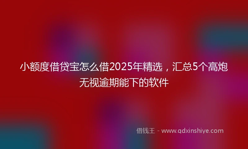 小额度借贷宝怎么借2025年精选，汇总5个高炮无视逾期能下的软件