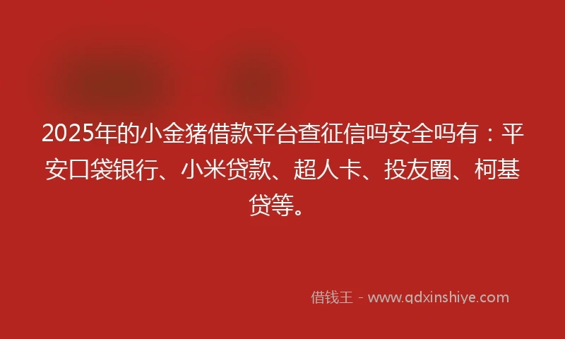 2025年的小金猪借款平台查征信吗安全吗有：平安口袋银行、小米贷款、超人卡、投友圈、柯基贷等。