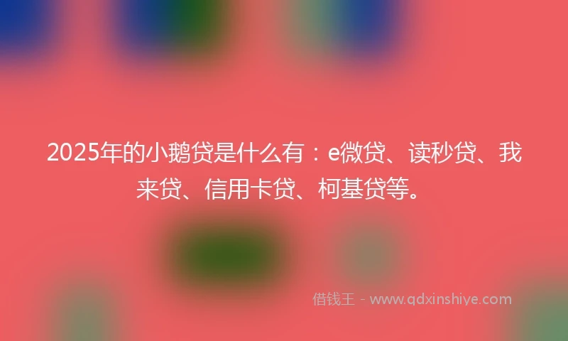 2025年的小鹅贷是什么有：e微贷、读秒贷、我来贷、信用卡贷、柯基贷等。