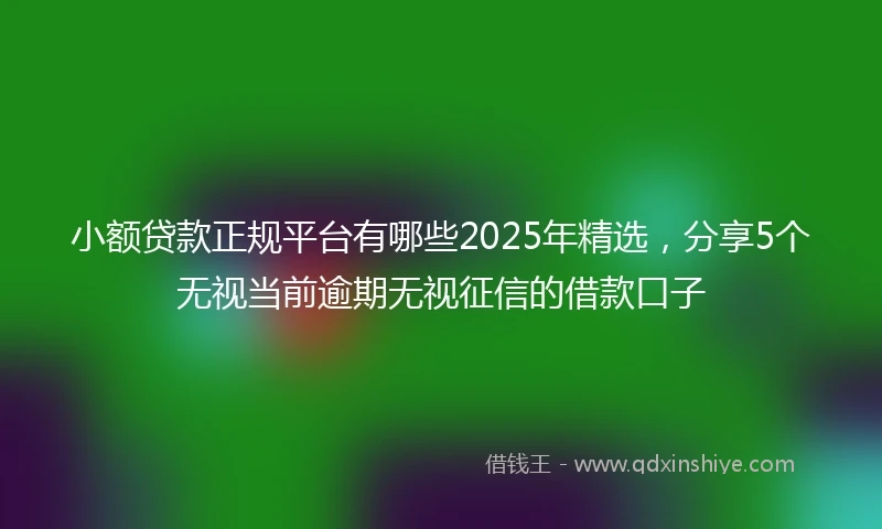 小额贷款正规平台有哪些2025年精选,分享5个无视当前逾期无视征信的借款口子