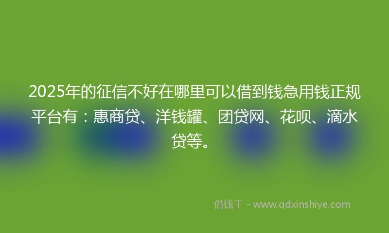 2025年的征信不好在哪里可以借到钱急用钱正规平台有：惠商贷、洋钱罐、团贷网、花呗、滴水贷等。