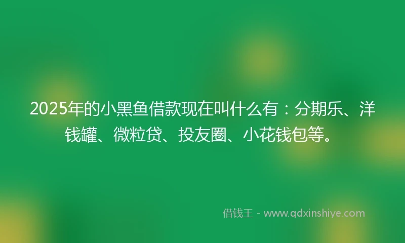 2025年的小黑鱼借款现在叫什么有：分期乐、洋钱罐、微粒贷、投友圈、小花钱包等。