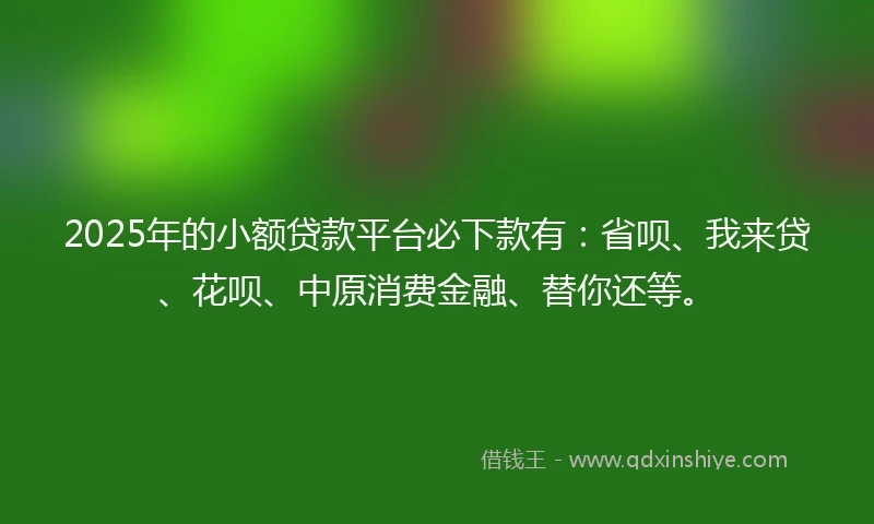2025年的小额贷款平台必下款有：省呗、我来贷、花呗、中原消费金融、替你还等。