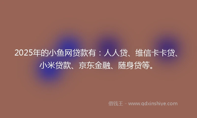 2025年的小鱼网贷款有：人人贷、维信卡卡贷、小米贷款、京东金融、随身贷等。