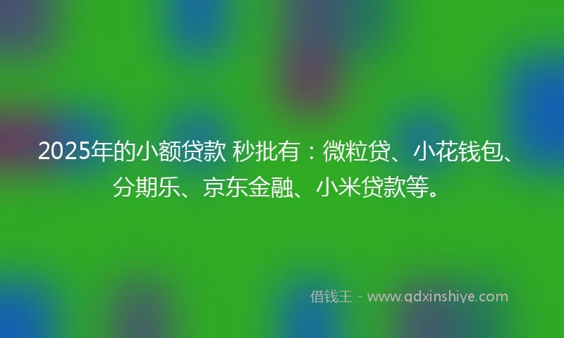 2025年的小额贷款 秒批有：微粒贷、小花钱包、分期乐、京东金融、小米贷款等。