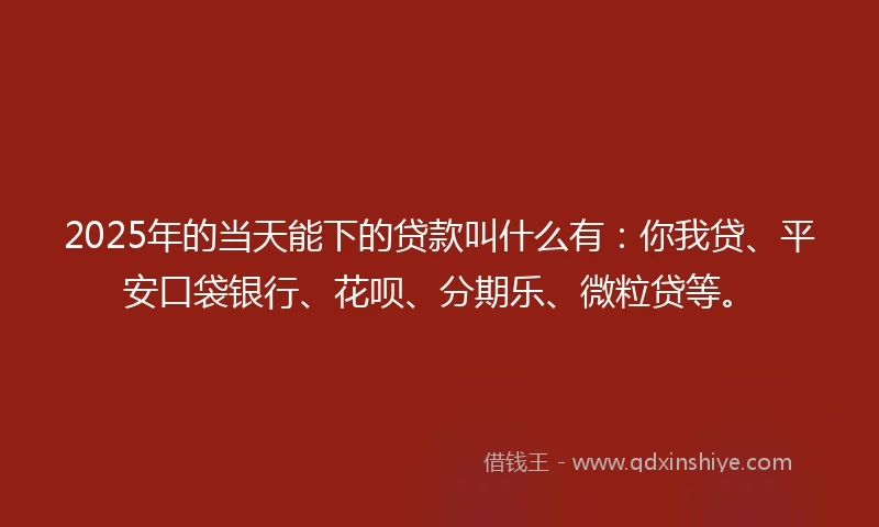 2025年的当天能下的贷款叫什么有：你我贷、平安口袋银行、花呗、分期乐、微粒贷等。