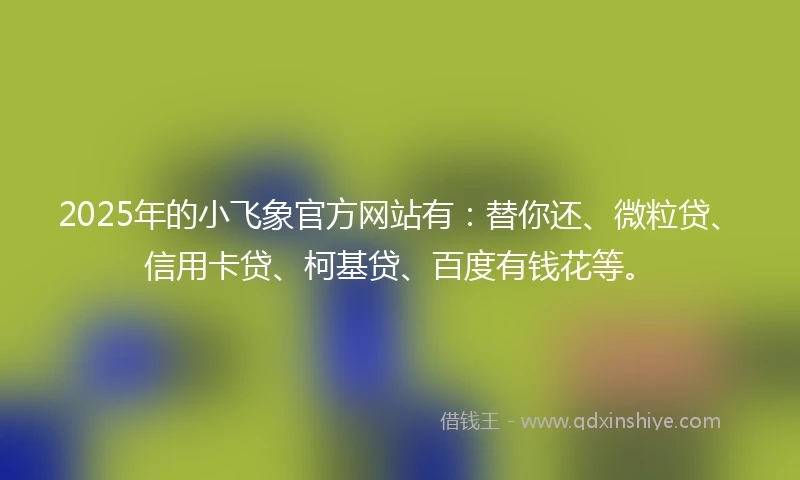 2025年的小飞象官方网站有:替你还、微粒贷、信用卡贷、柯基贷、百度有钱花等。