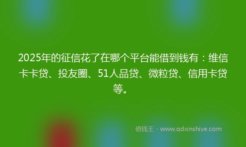 2025年的征信花了在哪个平台能借到钱有：维信卡卡贷、投友圈、51人品贷、微粒贷、信用卡贷等。