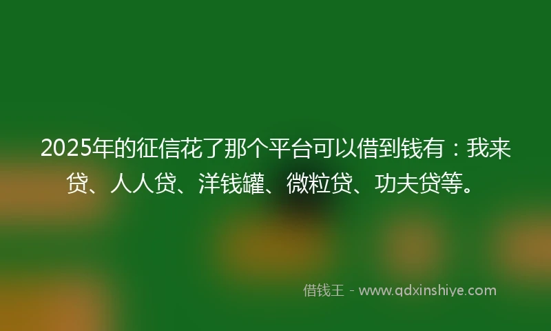 2025年的征信花了那个平台可以借到钱有:我来贷、人人贷、洋钱罐、微粒贷、功夫贷等。