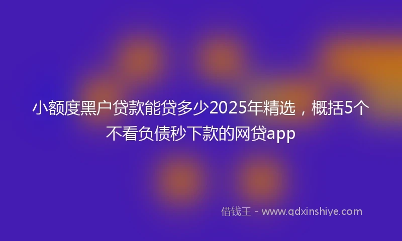 小额度黑户贷款能贷多少2025年精选，概括5个不看负债秒下款的网贷app