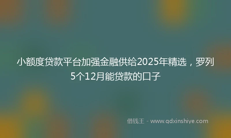 小额度贷款平台加强金融供给2025年精选，罗列5个12月能贷款的口子
