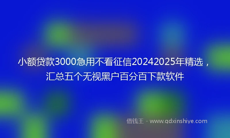 小额贷款3000急用不看征信20242025年精选，汇总五个无视黑户百分百下款软件