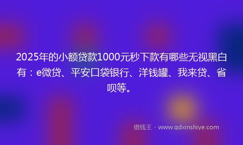 2025年的小额贷款1000元秒下款有哪些无视黑白有：e微贷、平安口袋银行、洋钱罐、我来贷、省呗等。