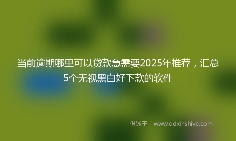 当前逾期哪里可以贷款急需要2025年推荐，汇总5个无视黑白好下款的软件