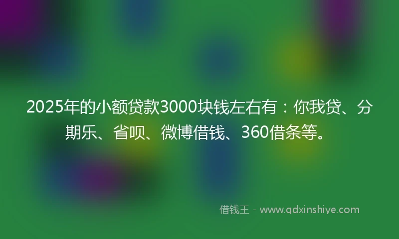 2025年的小额贷款3000块钱左右有：你我贷、分期乐、省呗、微博借钱、360借条等。