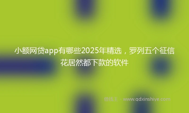 小额网贷app有哪些2025年精选，罗列五个征信花居然都下款的软件