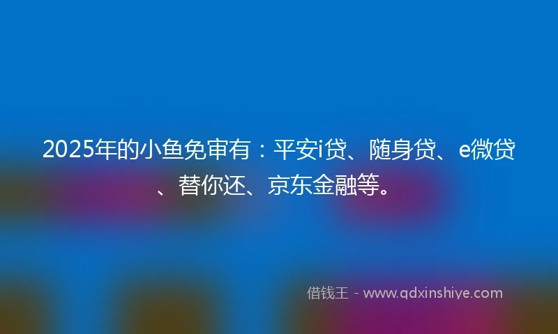 2025年的小鱼免审有：平安i贷、随身贷、e微贷、替你还、京东金融等。