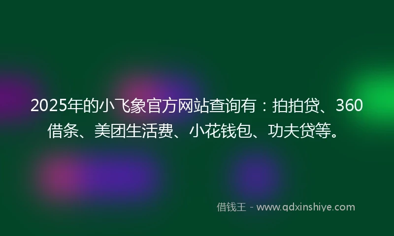 2025年的小飞象官方网站查询有：拍拍贷、360借条、美团生活费、小花钱包、功夫贷等。