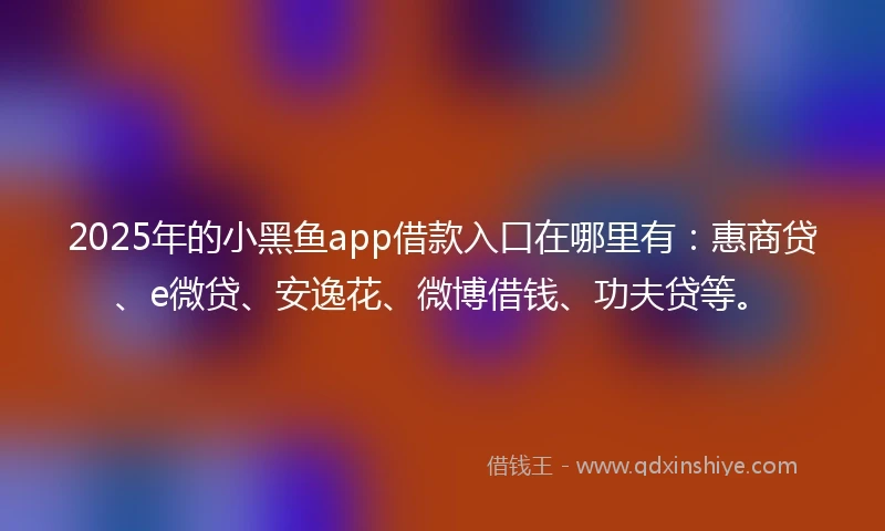 2025年的小黑鱼app借款入口在哪里有：惠商贷、e微贷、安逸花、微博借钱、功夫贷等。
