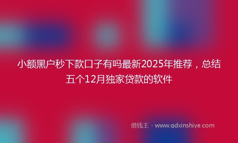 小额黑户秒下款口子有吗最新2025年推荐，总结五个12月独家贷款的软件