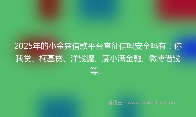 2025年的小金猪借款平台查征信吗安全吗有：你我贷、柯基贷、洋钱罐、度小满金融、微博借钱等。