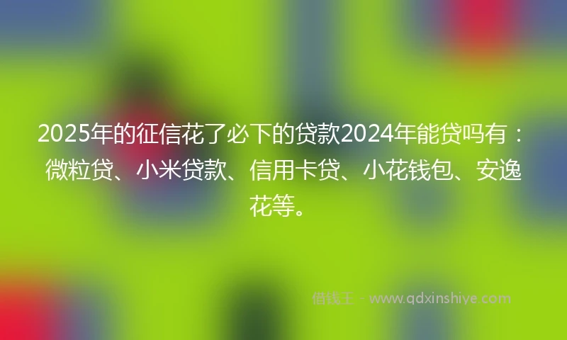 2025年的征信花了必下的贷款2024年能贷吗有：微粒贷、小米贷款、信用卡贷、小花钱包、安逸花等。