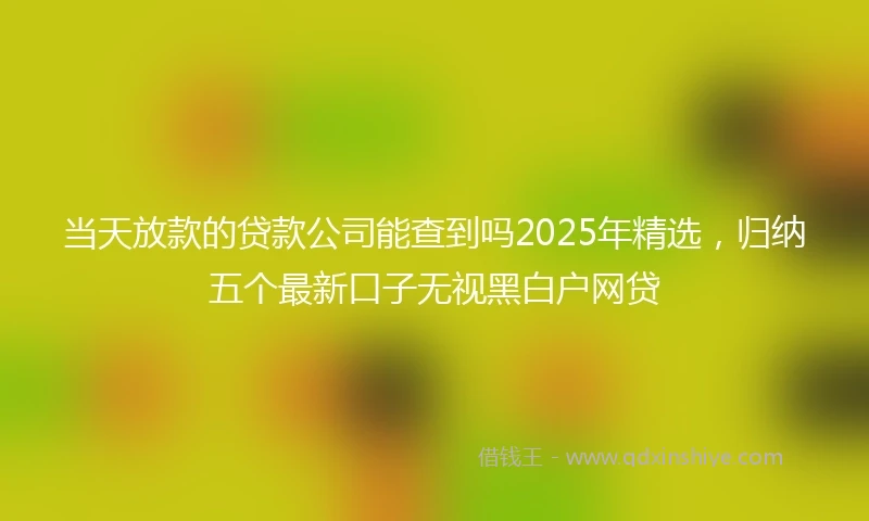 当天放款的贷款公司能查到吗2025年精选，归纳五个最新口子无视黑白户网贷