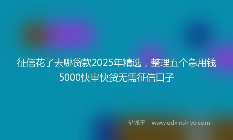 征信花了去哪贷款2025年精选，整理五个急用钱5000快审快贷无需征信口子