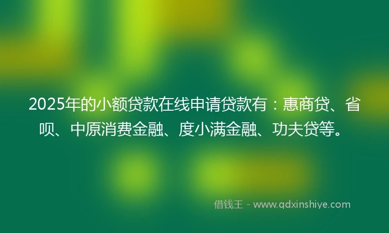 2025年的小额贷款在线申请贷款有：惠商贷、省呗、中原消费金融、度小满金融、功夫贷等。