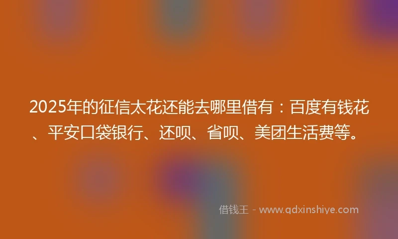 2025年的征信太花还能去哪里借有：百度有钱花、平安口袋银行、还呗、省呗、美团生活费等。