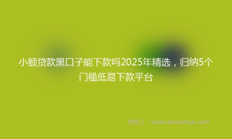 小额贷款黑口子能下款吗2025年精选，归纳5个门槛低易下款平台