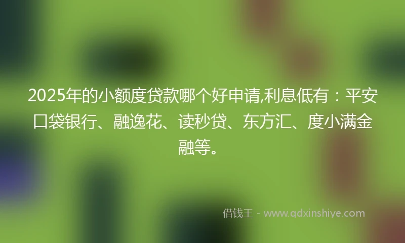 2025年的小额度贷款哪个好申请,利息低有：平安口袋银行、融逸花、读秒贷、东方汇、度小满金融等。