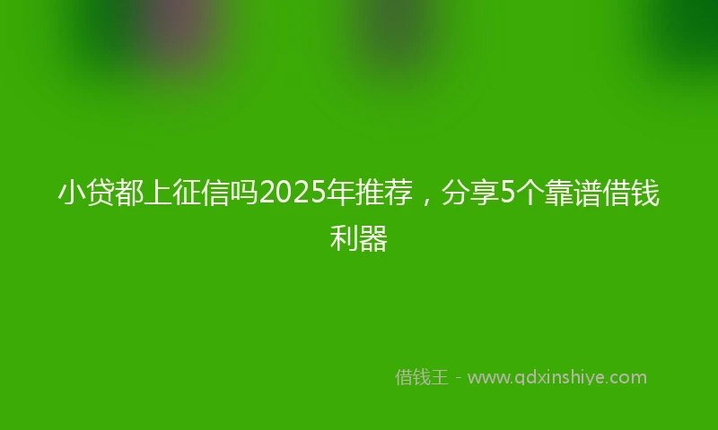小贷都上征信吗2025年推荐，分享5个靠谱借钱利器