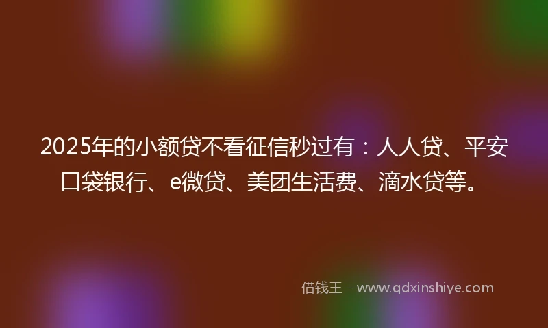 2025年的小额贷不看征信秒过有：人人贷、平安口袋银行、e微贷、美团生活费、滴水贷等。