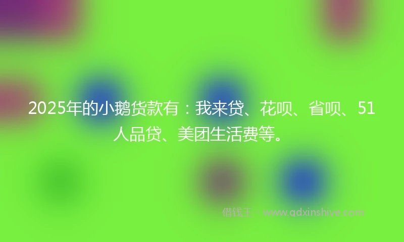 2025年的小鹅货款有:我来贷、花呗、省呗、51人品贷、美团生活费等。