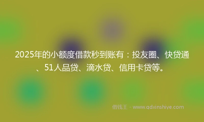 2025年的小额度借款秒到账有：投友圈、快贷通、51人品贷、滴水贷、信用卡贷等。