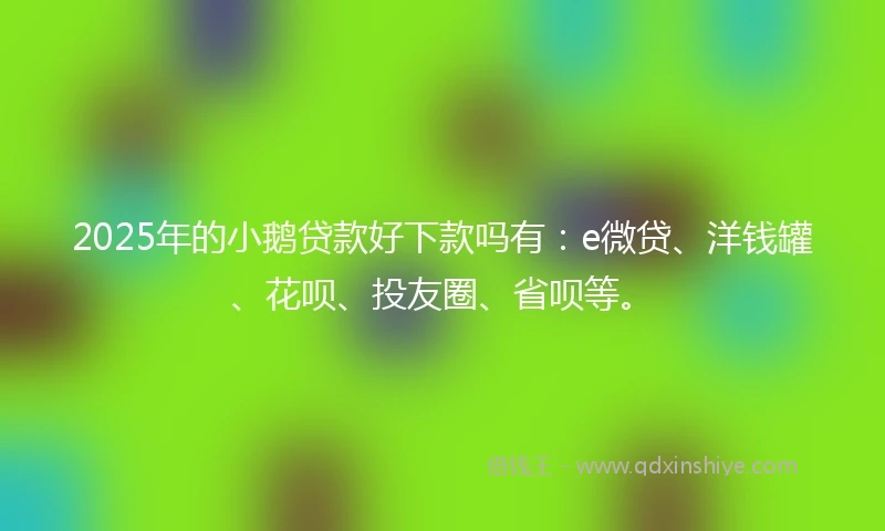 2025年的小鹅贷款好下款吗有：e微贷、洋钱罐、花呗、投友圈、省呗等。