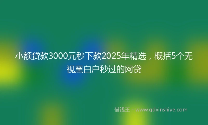 小额贷款3000元秒下款2025年精选，概括5个无视黑白户秒过的网贷