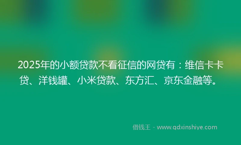 2025年的小额贷款不看征信的网贷有：维信卡卡贷、洋钱罐、小米贷款、东方汇、京东金融等。