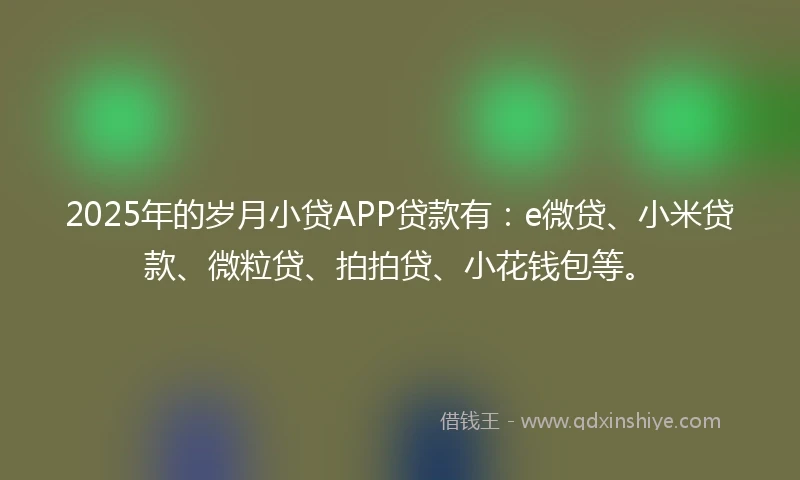 2025年的岁月小贷APP贷款有：e微贷、小米贷款、微粒贷、拍拍贷、小花钱包等。