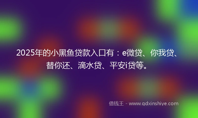 2025年的小黑鱼贷款入口有：e微贷、你我贷、替你还、滴水贷、平安i贷等。
