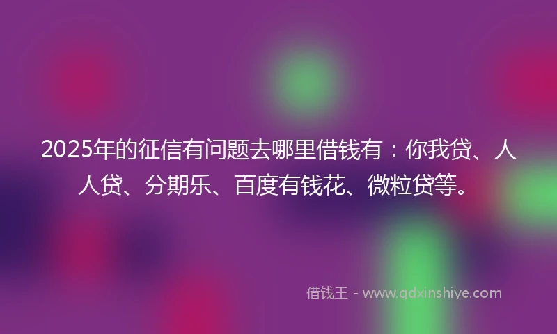 2025年的征信有问题去哪里借钱有：你我贷、人人贷、分期乐、百度有钱花、微粒贷等。