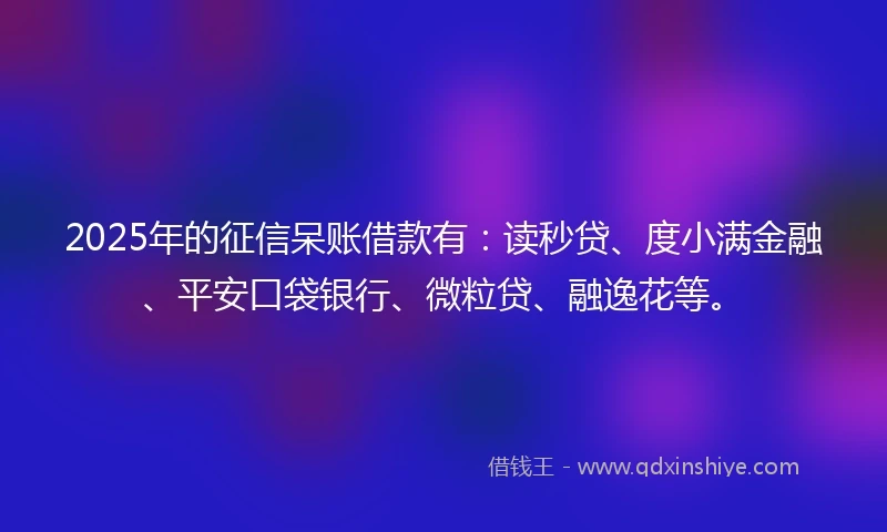2025年的征信呆账借款有：读秒贷、度小满金融、平安口袋银行、微粒贷、融逸花等。