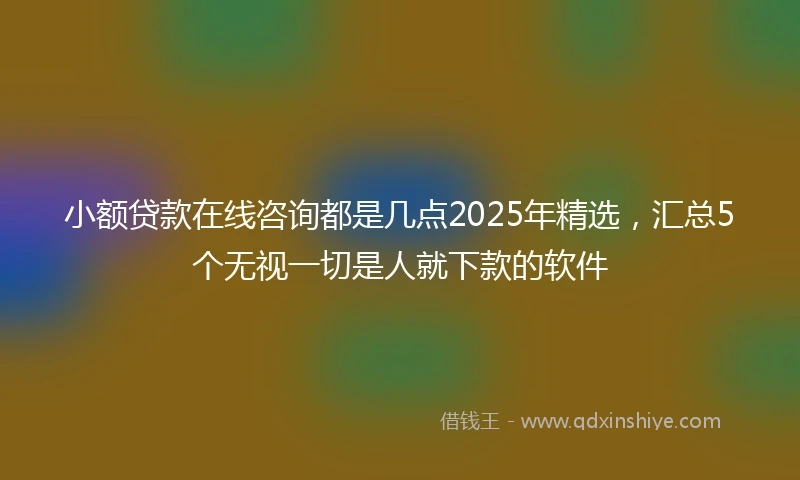 小额贷款在线咨询都是几点2025年精选，汇总5个无视一切是人就下款的软件